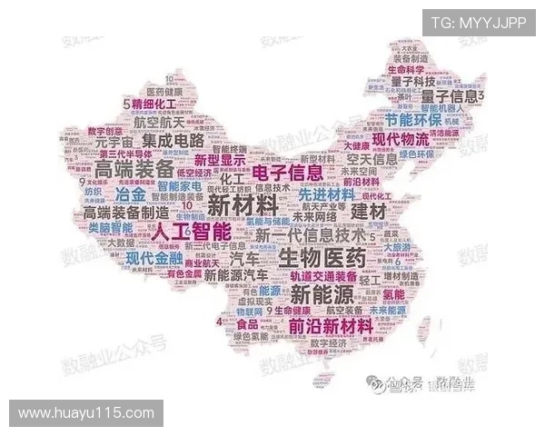 全面解析沙龙国际：平台优势与未来发展趋势